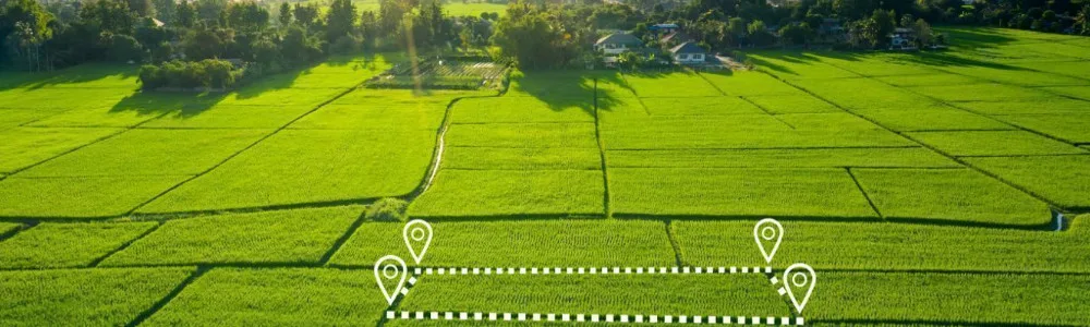 Земельное право 1 Земельное право, на зеленом поле отмечен участок